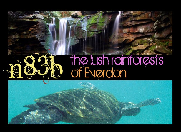 lush Rainforest of Everdon - n8Eb